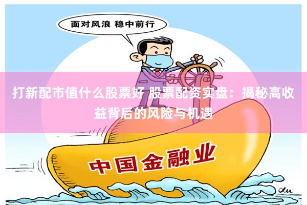 打新配市值什么股票好 股票配资实盘：揭秘高收益背后的风险与机遇