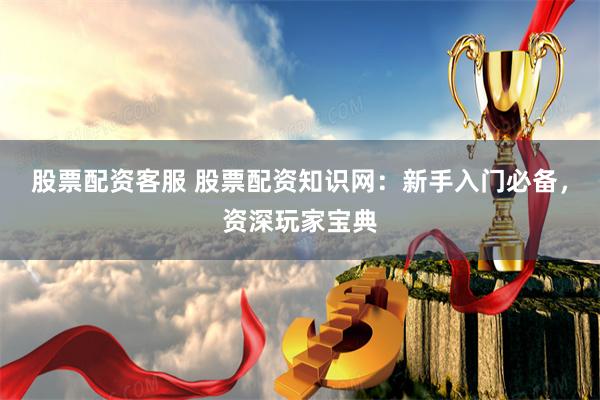 股票配资客服 股票配资知识网：新手入门必备，资深玩家宝典